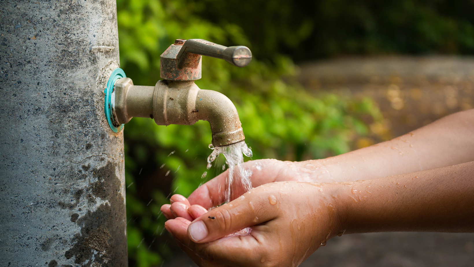 Water Use Efficiency Data Portal Goes Live